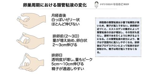 精子ゼリー状|精子がゼリー状に関する医師への質問144件